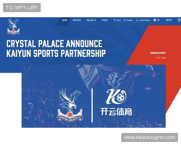 详细解读开云体育平台官网入口的优势与使用技巧